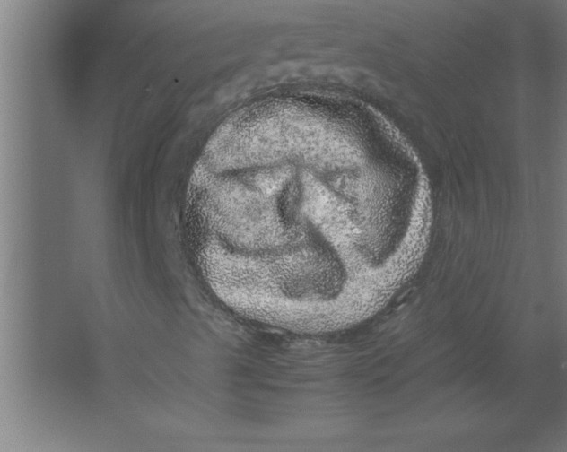 X0000067461489200604281814