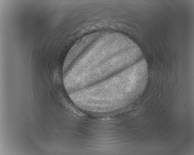 X0000067461490200604281814