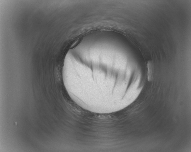 X0000067461491200604281814