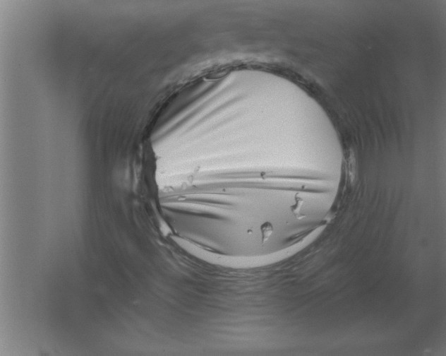 X0000067461492200604281814