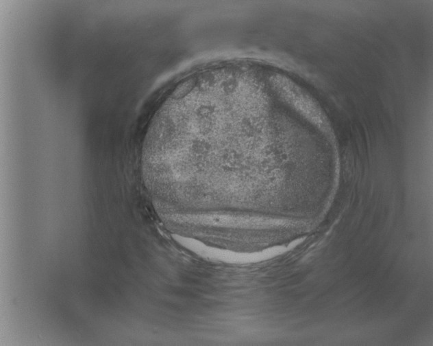 X0000067461494200604281814