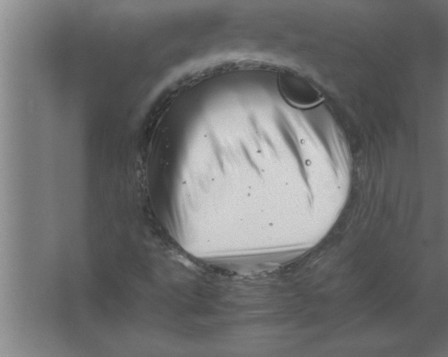 X0000067461495200604281814