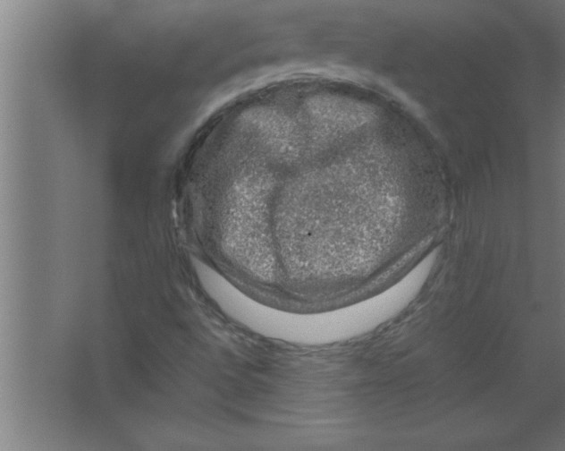 X0000067461496200604281814