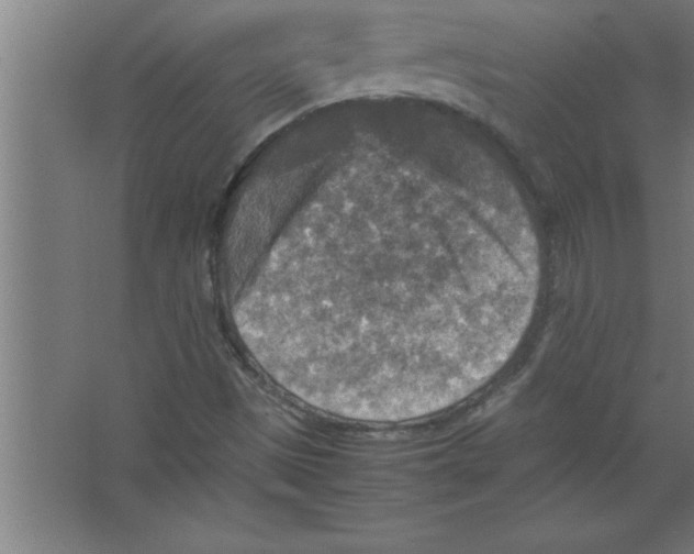 X0000067461497200604281814