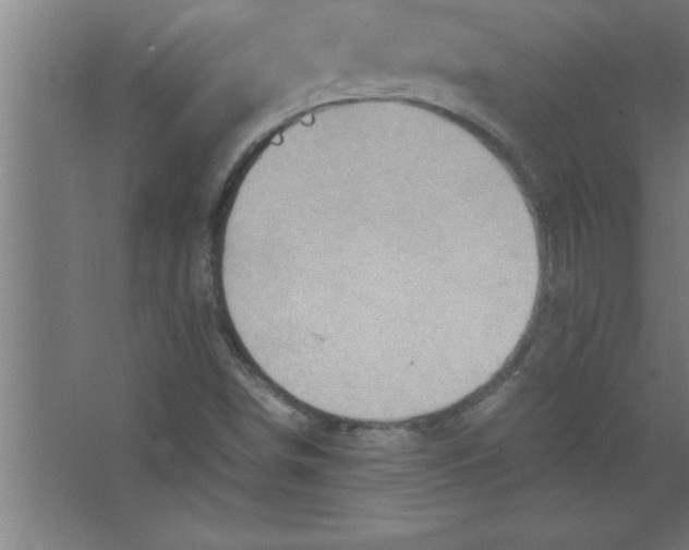 X0000067461498200604281814