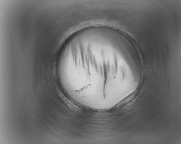 X0000067461499200604281814