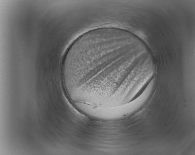 X0000067461500200604281814