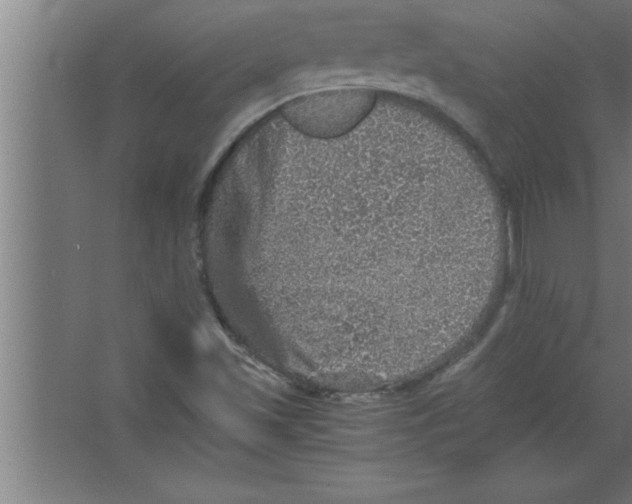 X0000067461501200604281814