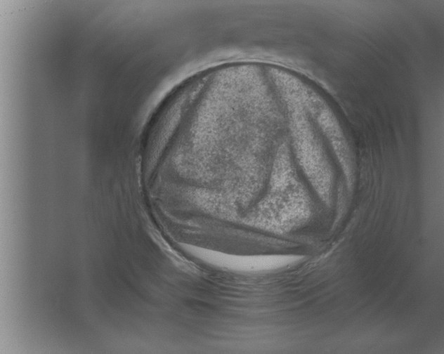 X0000067461503200604281814