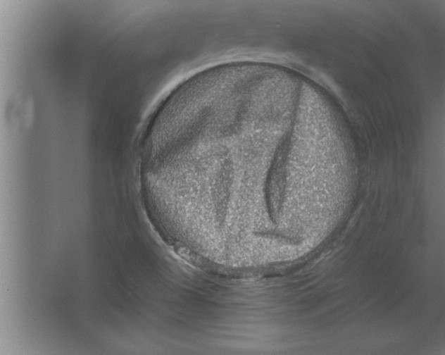 X0000067461504200604281814