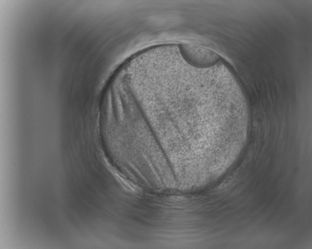 X0000067461507200604281814