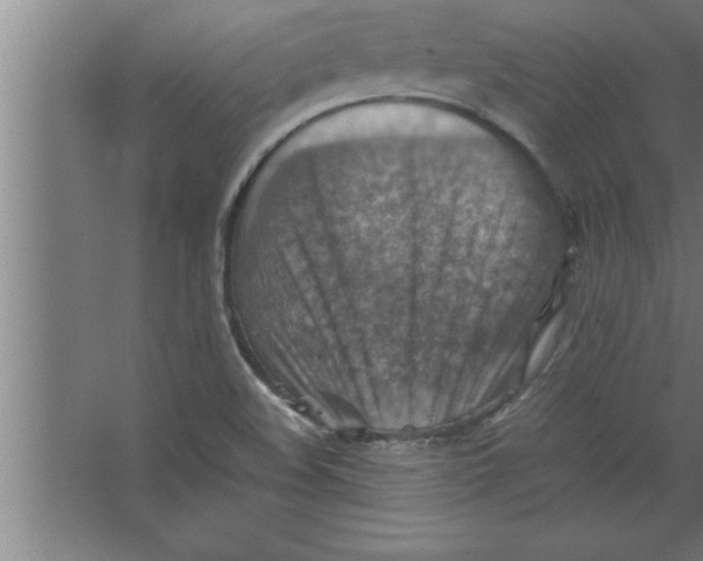 X0000067461508200604281814