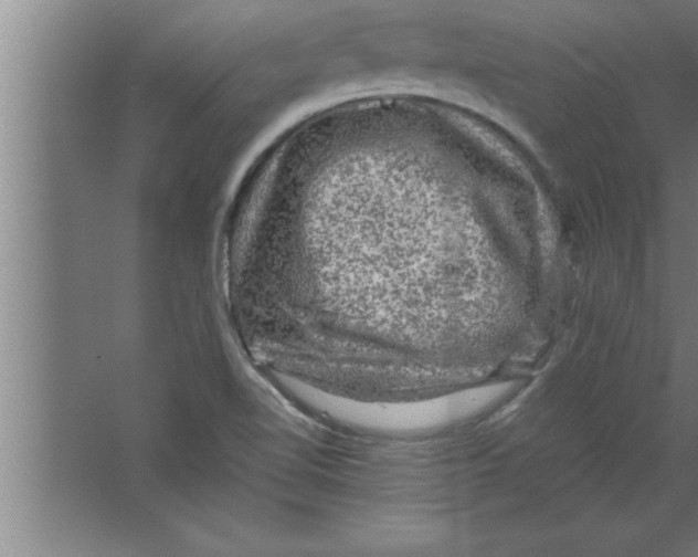 X0000067461510200604281814