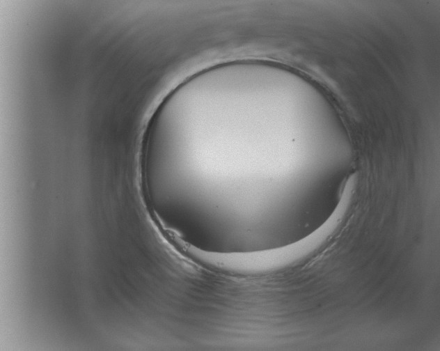 X0000067461512200604281815