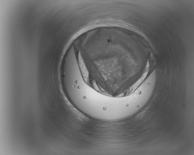 X0000067461514200604281815