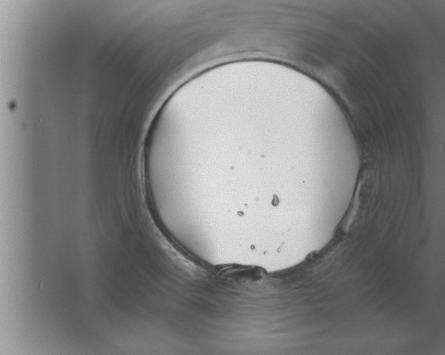 X0000067461516200604281815