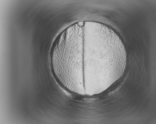 X0000067461517200604281815