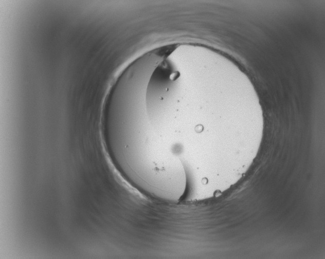 X0000067461518200604281815