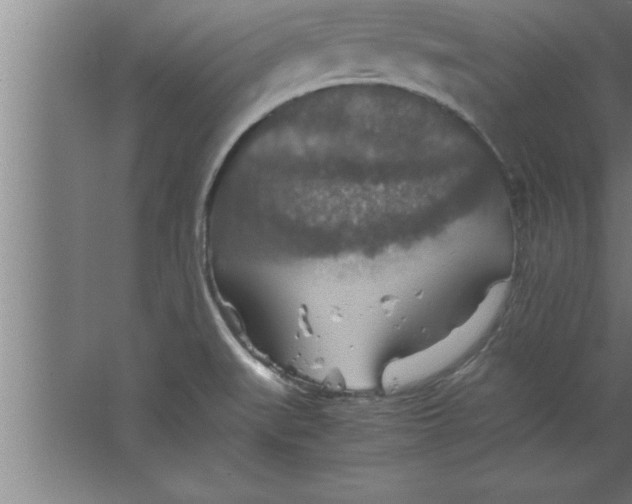 X0000067461519200604281815