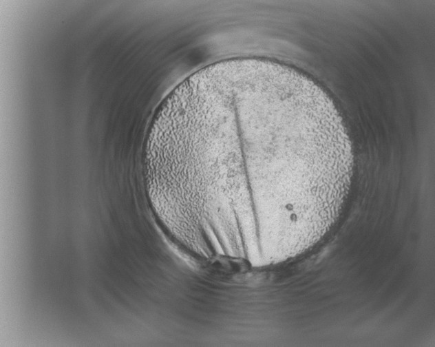 X0000067461521200604281815