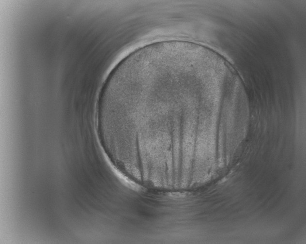 X0000067461523200604281815