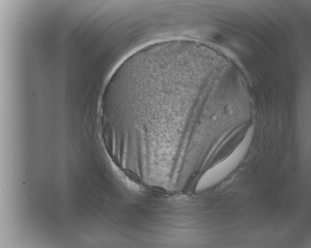 X0000067461524200604281815