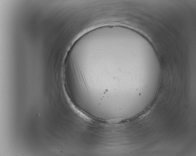 X0000067461526200604281815