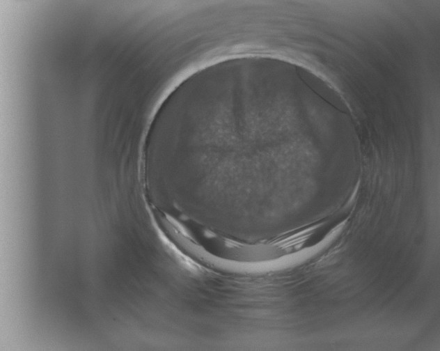 X0000067461527200604281815