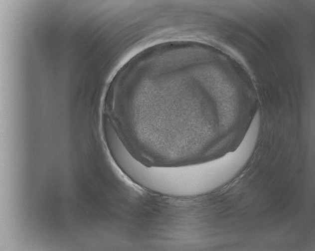 X0000067461528200604281815