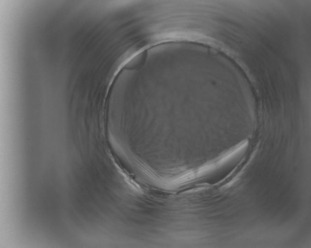 X0000067461529200604281815