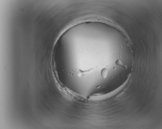 X0000067461530200604281815