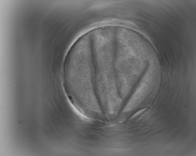 X0000067461531200604281815