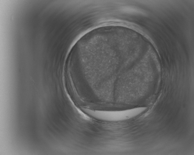 X0000067461533200604281815