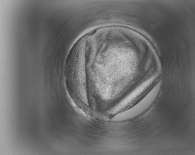 X0000067461534200604281815