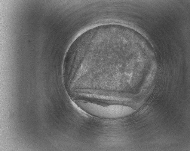 X0000067461535200604281815