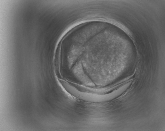 X0000067461536200604281815