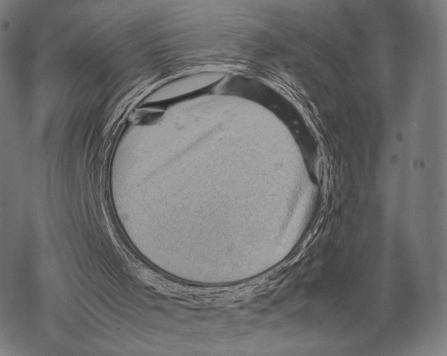 X0000067460001200605051633