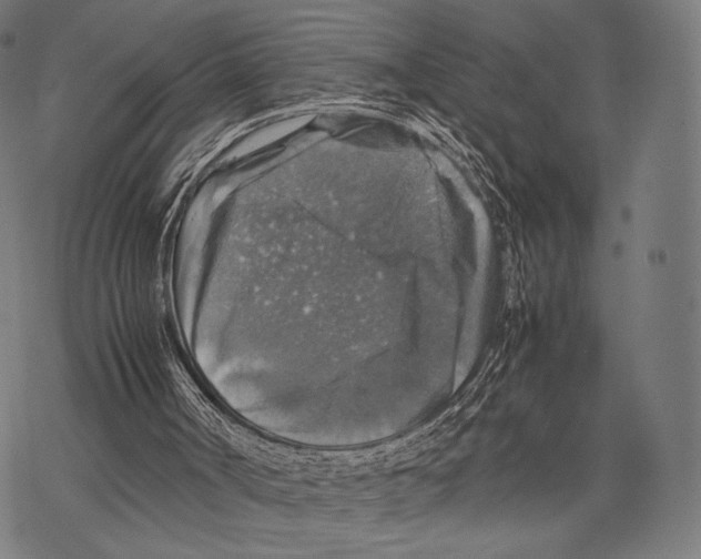 X0000067460002200605051633