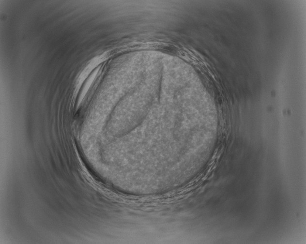 X0000067460003200605051633