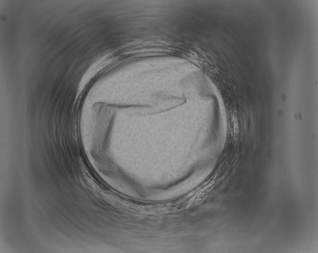 X0000067460004200605051633