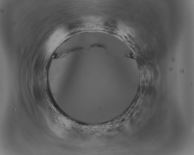 X0000067460005200605051633