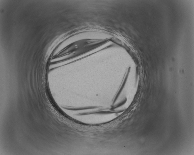 X0000067460007200605051633