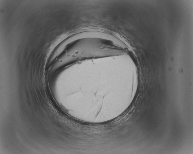 X0000067460008200605051633