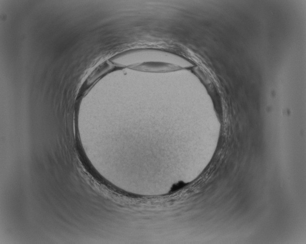 X0000067460011200605051633