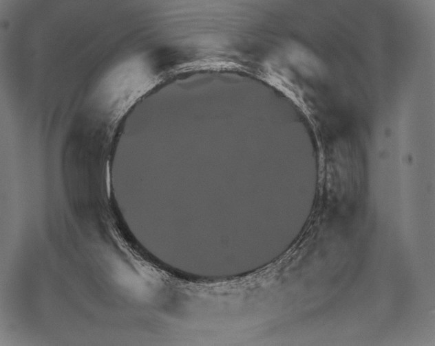 X0000067460013200605051633