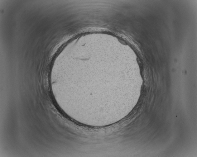 X0000067460015200605051633