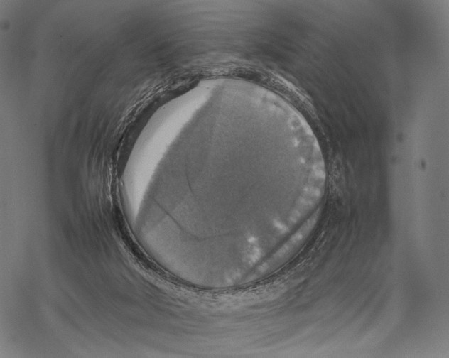 X0000067460018200605051633