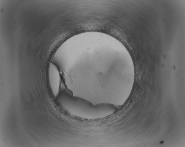 X0000067460019200605051633