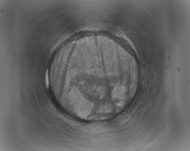 X0000067460020200605051633