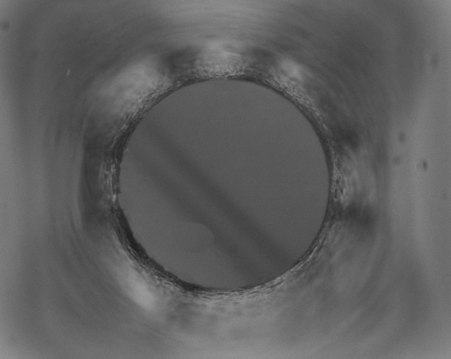 X0000067460021200605051633